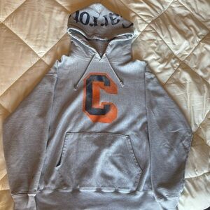 Gray and Orange Carrots Men's Hoodie
